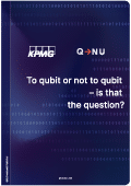 To qubit or not to qubit - is that the question?